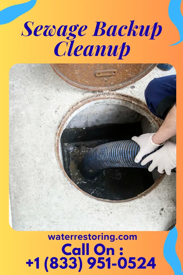 Sewage Backup Cleanup in West Winfield, NY