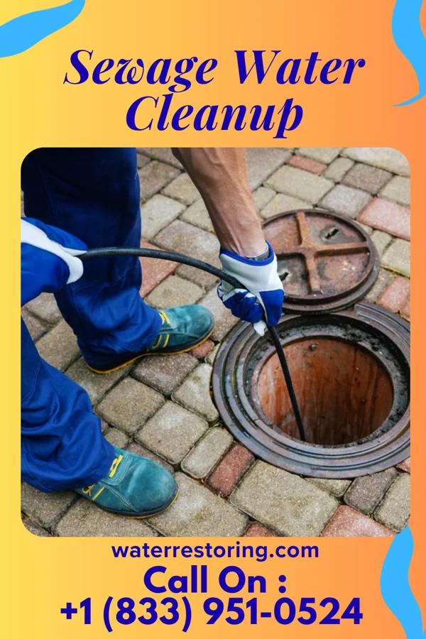 Sewage Water Cleanup in West Winfield, NY