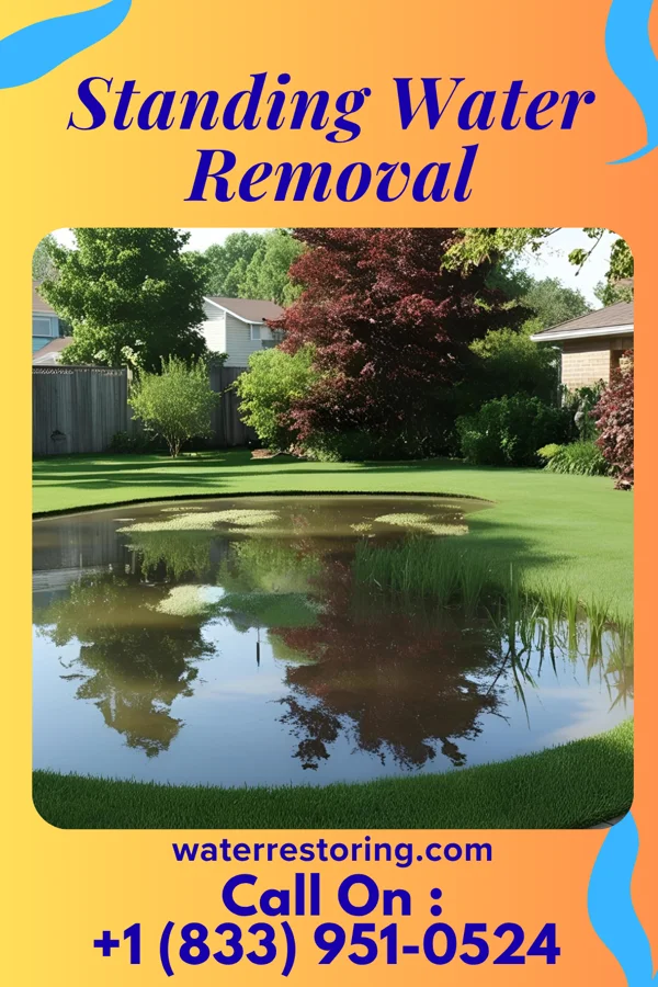Standing Water Removal in West Winfield, NY